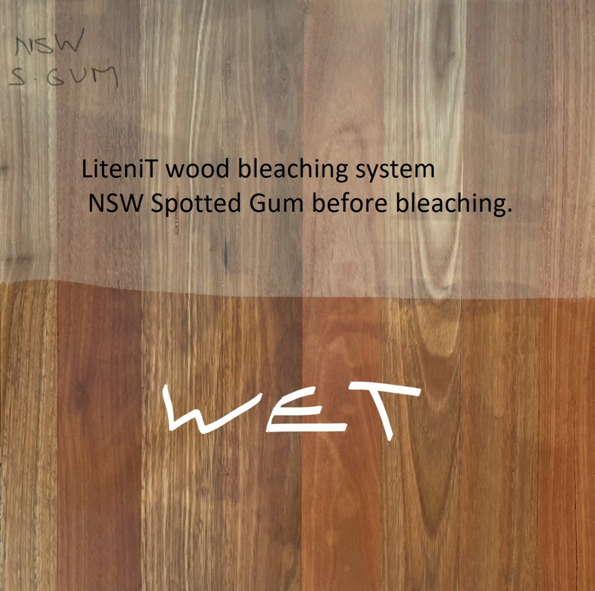 Bleached NSW Spotted Gum before bleaching
