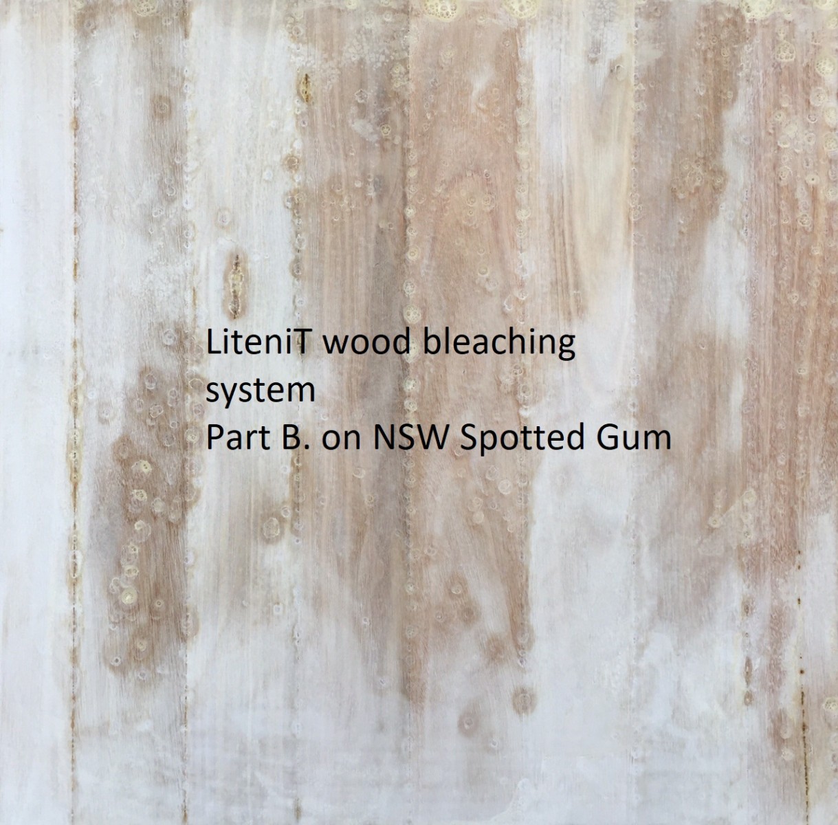 Bleached NSW Spotted Gum part B.